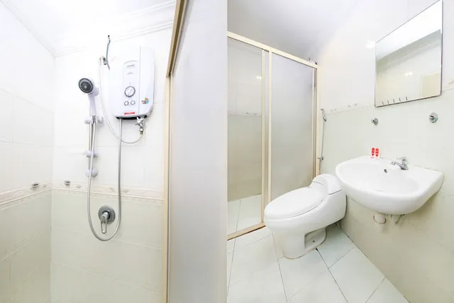 OYO 587 The Dream Hotel Picture 1
