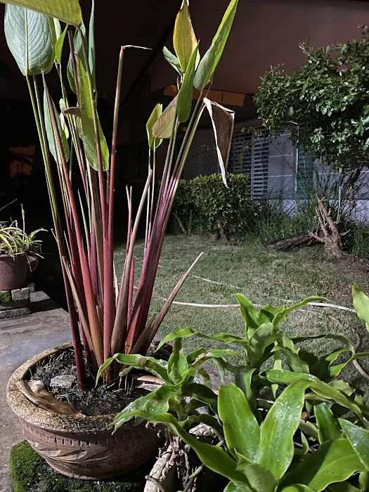 Homestay Bertam City Picture 6