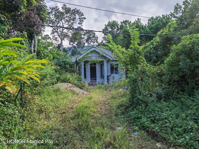 DYANARAFI HOUSE Picture 2