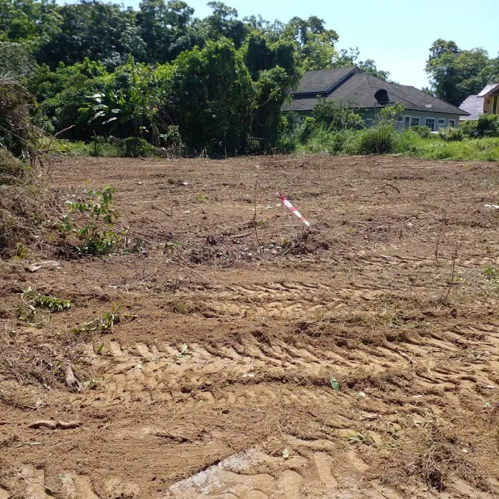 Kebun bimba Picture 3
