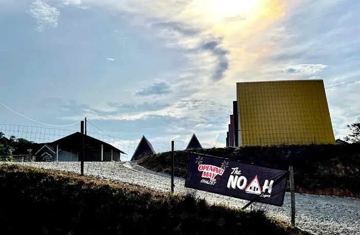 The Noah Picture 3