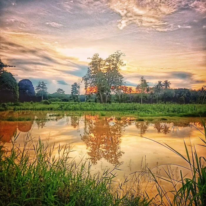 Kampung Tanjung Kerayung Picture 2