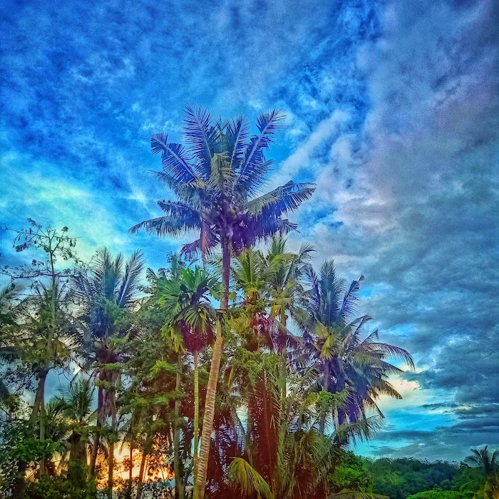 Kampung Tanjung Kerayung Picture 8