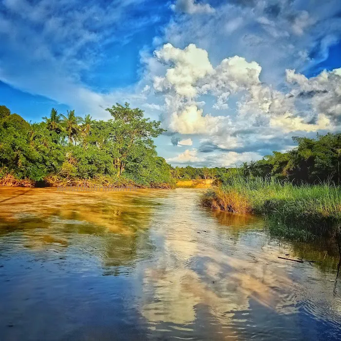 Kampung Tanjung Kerayung Picture 6
