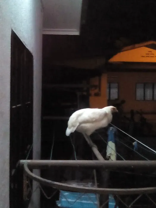 Homestay Nabisha Picture 5