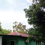Wawamizie homestay