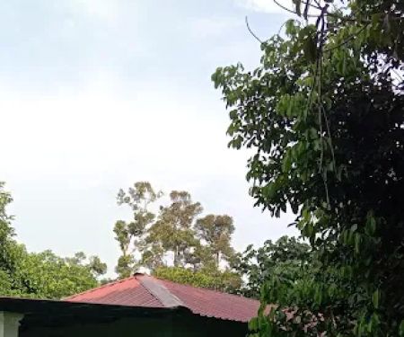 Wawamizie homestay