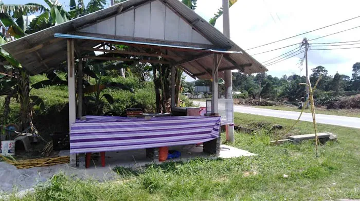 Lot 9091 (Jenderam Hilir) Picture 2