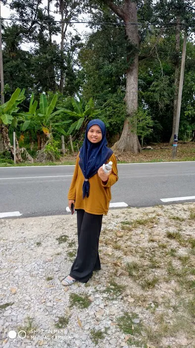 ATZ Homestay Jerteh Picture 2