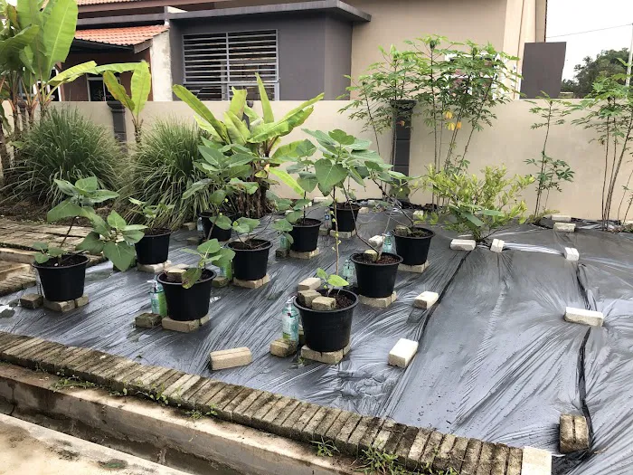 Ana Guest House Jln Airport Kuantan Picture 2