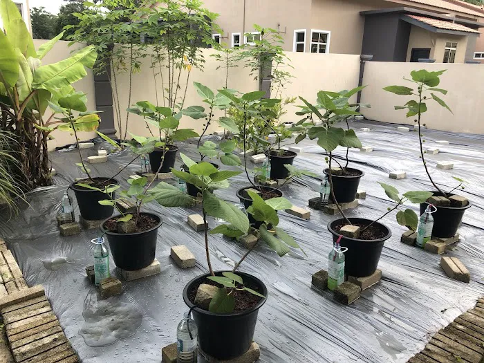 Ana Guest House Jln Airport Kuantan Picture 6