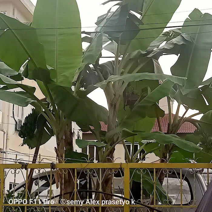 pusat jagaan kaseh sayang Picture 1