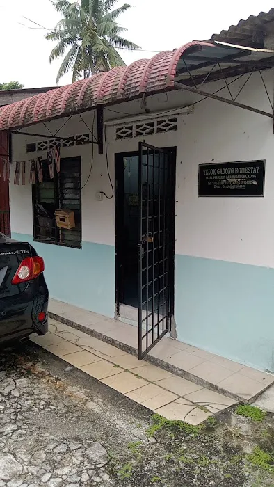 TELOK Gadong homestay Picture 3