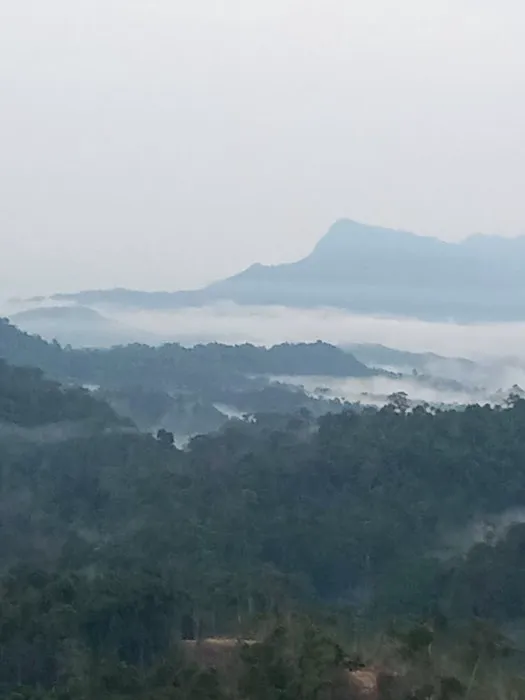 Kampung sungai seligi Picture 2