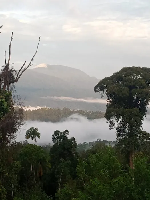 Kampung sungai seligi Picture 1