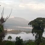 Kampung sungai seligi