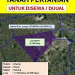 Tanah Untuk Disewa (2.755 Ekar)