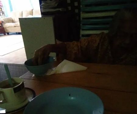 HOMESTAY SELESA SURI