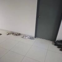Chempaka Homestay PJ 77 ico