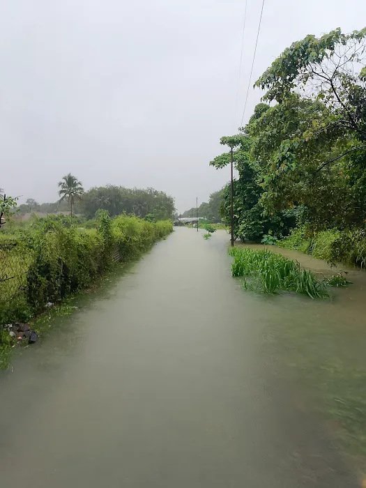 Kampung Padang Hangus Chetok Picture 2