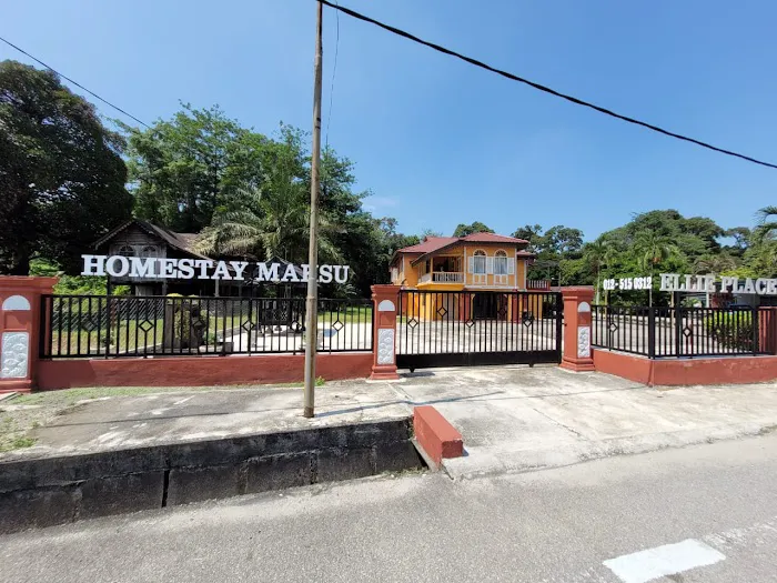 Homestay Maksu/Ellie Place Picture 8