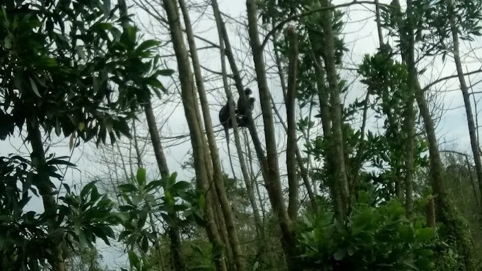 Homestay Kuantan 3 Unit Sebelah Picture 3