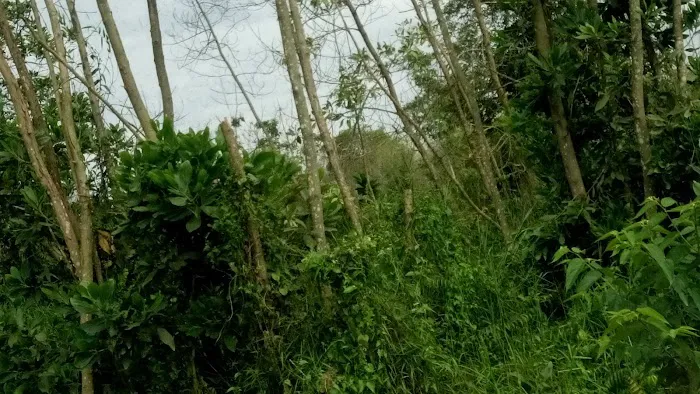 Homestay Kuantan 3 Unit Sebelah Picture 1