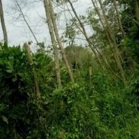 Homestay Kuantan 3 Unit Sebelah ico