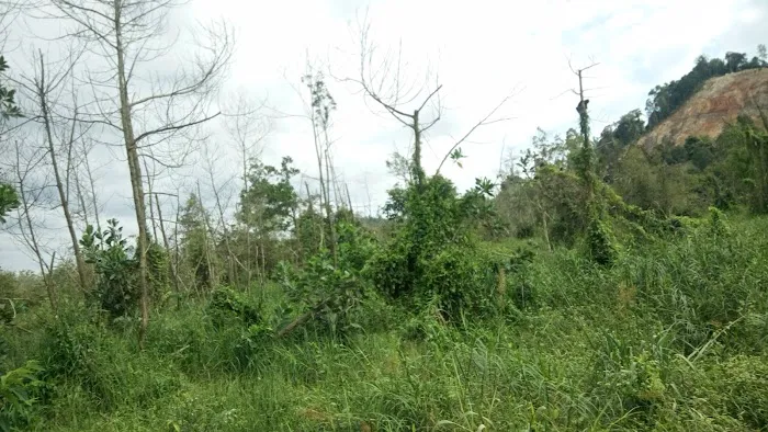 Homestay Kuantan 3 Unit Sebelah Picture 2