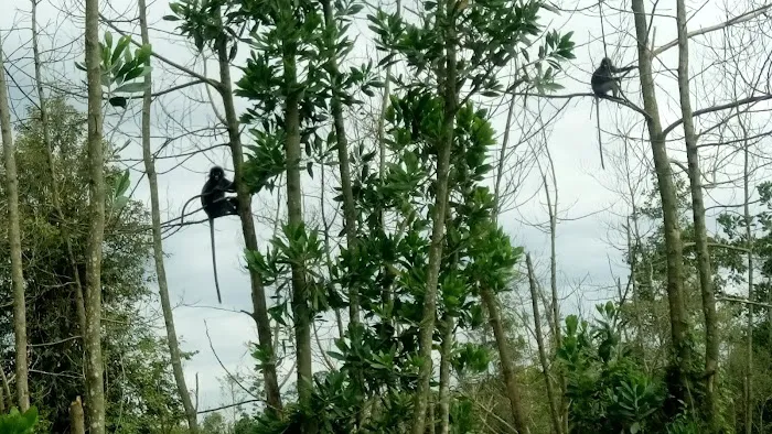 Homestay Kuantan 3 Unit Sebelah Picture 4