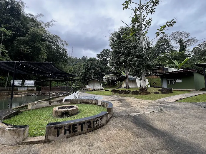 Thetribe Janda Baik Picture 3