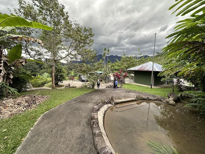 Thetribe Janda Baik Picture 8