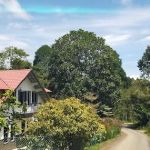 Ishq D'villa Chalet