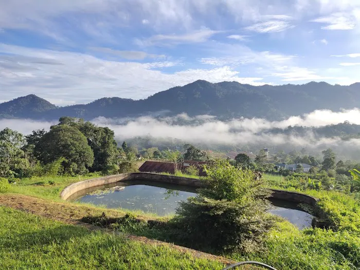 Saufiville Boutique Resort Picture 6