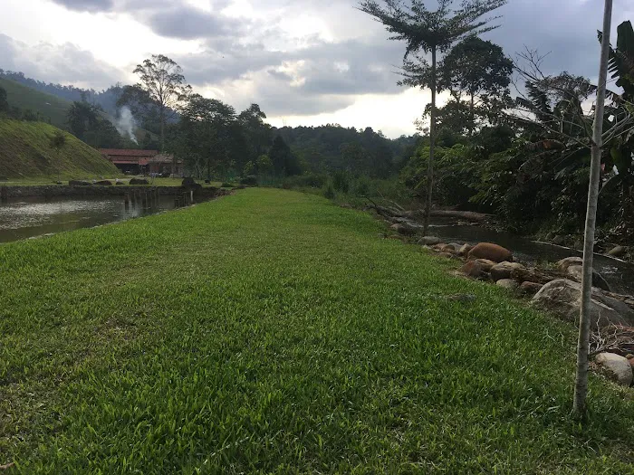 Tanjung Hills Retreat Janda Baik Picture 2