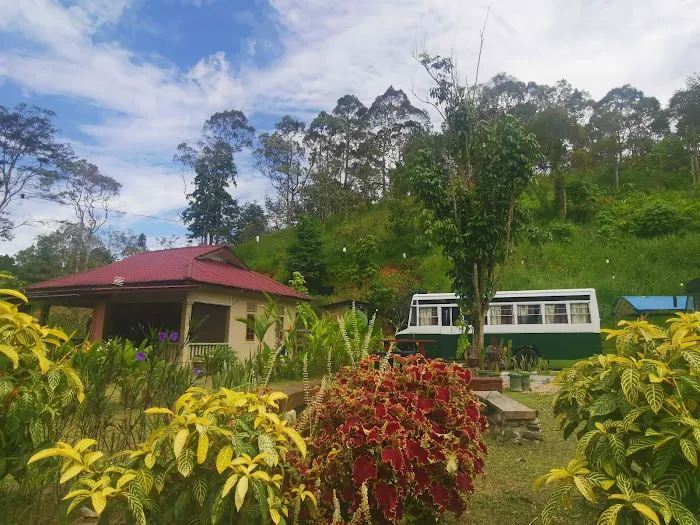 Kantan Cottage and Campsite Picture 3