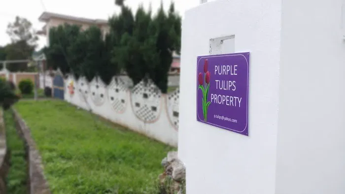 Purple Tulips Villa Picture 1
