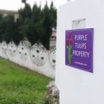 Purple Tulips Villa