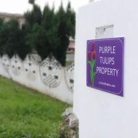 Purple Tulips Villa ico