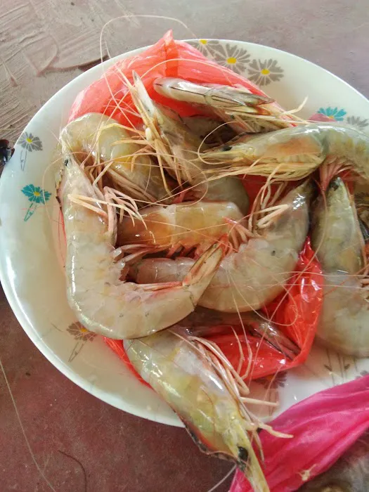 AMS - ABT Resort Homestay at Kelip Kelip Kpg Kuantan Picture 5