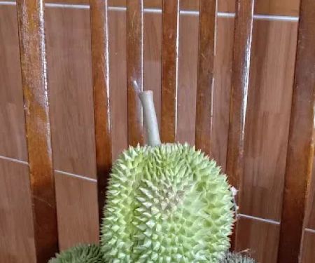 Teratak Keluarga Jailani
