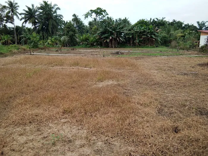Teratak Keluarga Jailani Picture 4