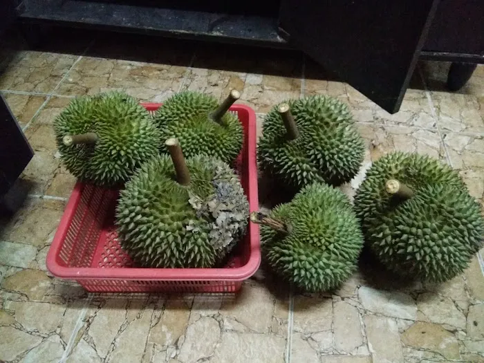 Teratak Keluarga Jailani Picture 9