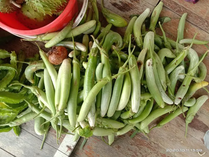 Kebun Reda Picture 1