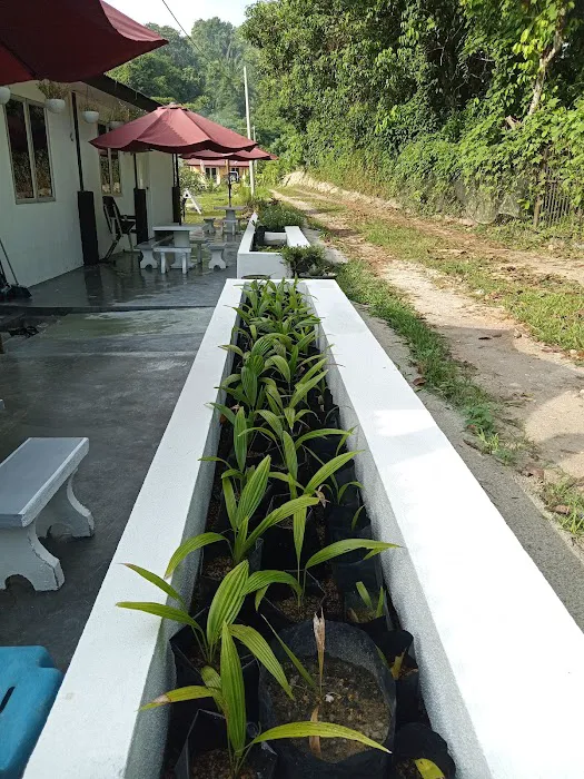 Zulkifli Food Enterprise, Kuntum Cottage Bed & Breakfast, Shopee Xpress Outlet Picture 9