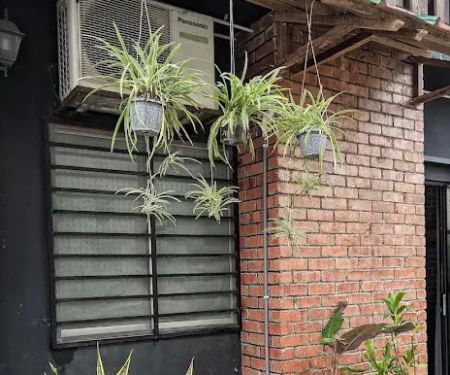 Woodcation Guest House Putra Perdana