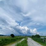 D'Village homestay
