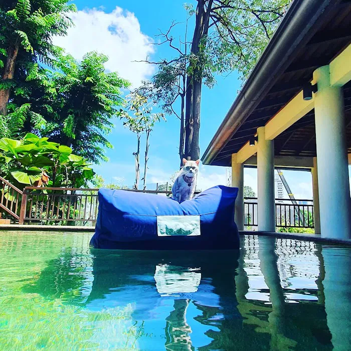 Villa Sri Ananda Picture 5