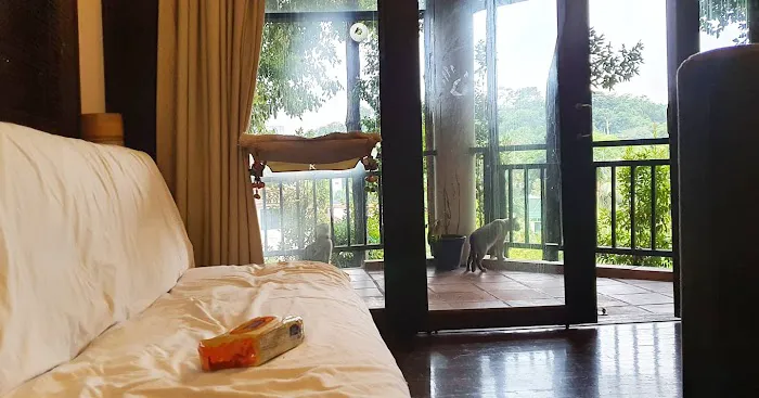 Villa Sri Ananda Picture 9