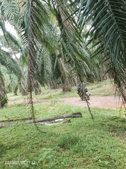 RUMAH MEK NAB Picture 1